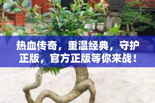 官方正版等你来战图片