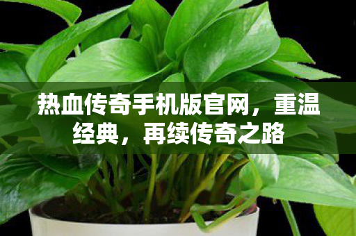 热血传奇手机版官网图片