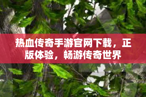热血传奇手游官网下载图片