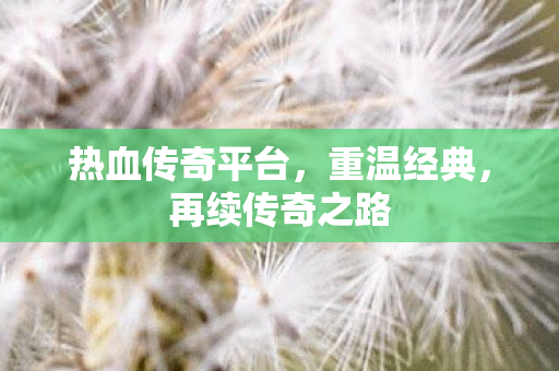 热血传奇平台图片