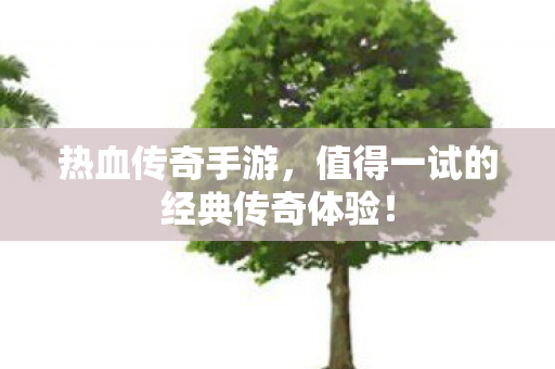 值得一试的经典传奇体验图片