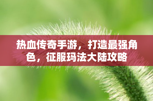 征服玛法大陆攻略图片