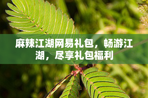 麻辣江湖网易礼包图片