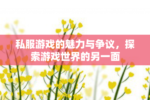 私服游戏的魅力与争议图片