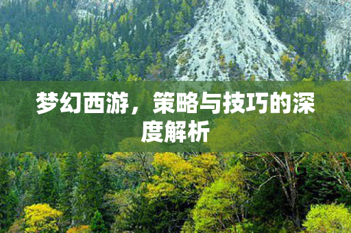 策略与技巧的深度解析图片