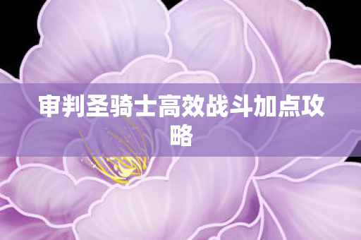 审判圣骑士高效战斗加点攻略图片