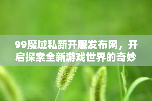 开启探索全新游戏世界的奇妙之旅图片