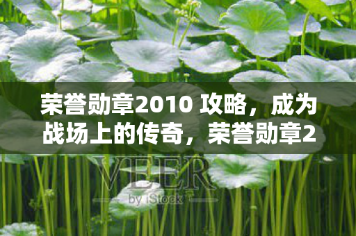 荣誉勋章2010 攻略图片
