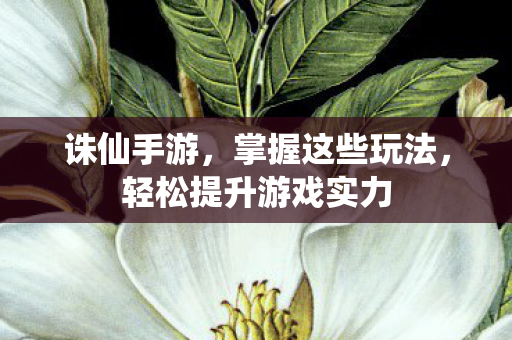 轻松提升游戏实力图片