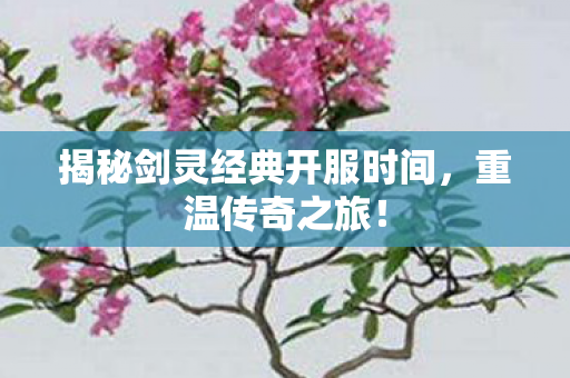 揭秘剑灵经典开服时间图片