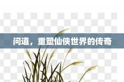 重塑仙侠世界的传奇图片