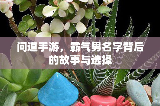 霸气男名字背后的故事与选择图片