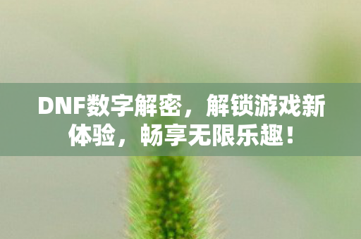 DNF数字解密图片