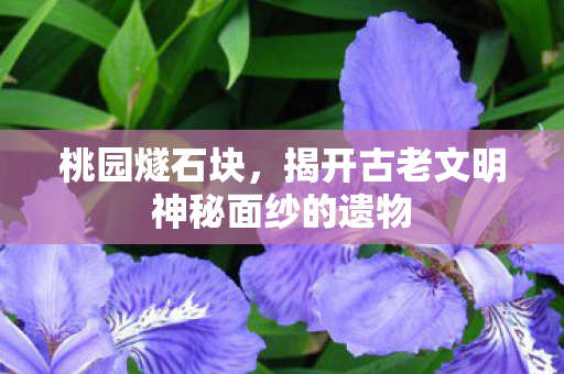 揭开古老文明神秘面纱的遗物图片