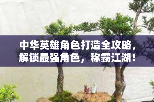 中华英雄角色打造全攻略，解锁最强角色，称霸江湖！