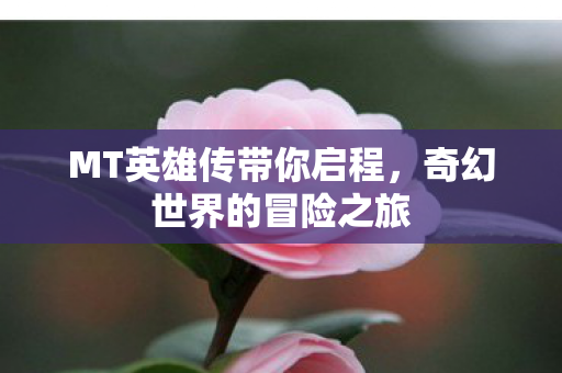 MT英雄传带你启程图片