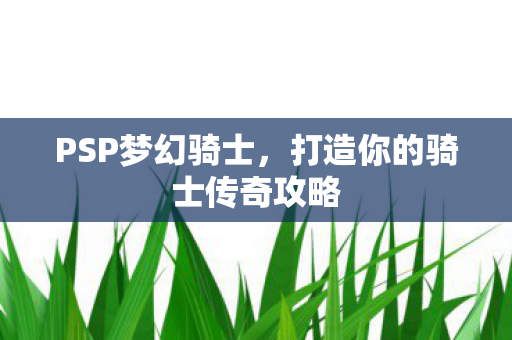 打造你的骑士传奇攻略图片