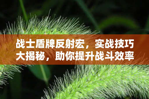 助你提升战斗效率图片