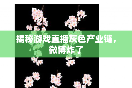 揭秘游戏直播灰色产业链图片