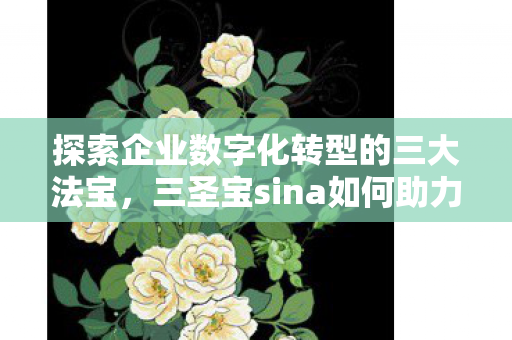 三圣宝sina如何助力企业转型升级图片
