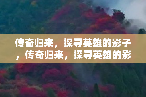 探寻英雄的影子图片