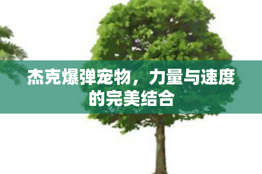 力量与速度的完美结合图片