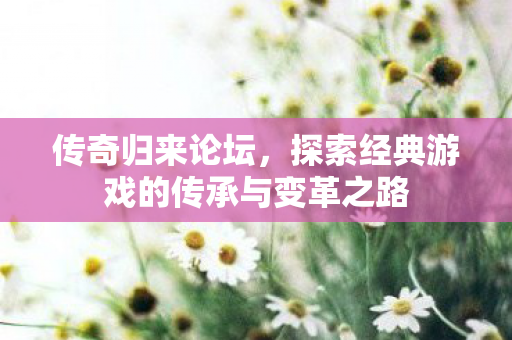 探索经典游戏的传承与变革之路图片