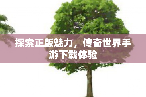 传奇世界手游下载体验图片