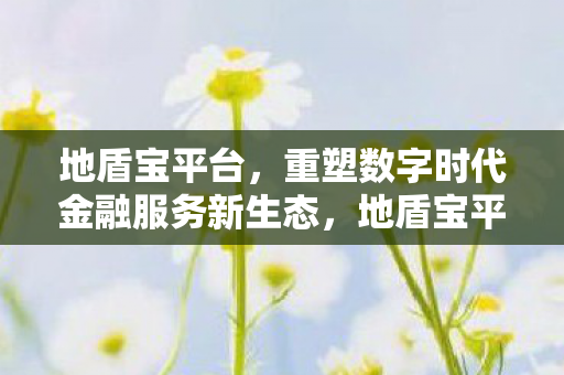 地盾宝平台重塑数字金融服务新生态图片