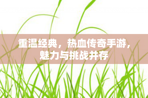 魅力与挑战并存图片