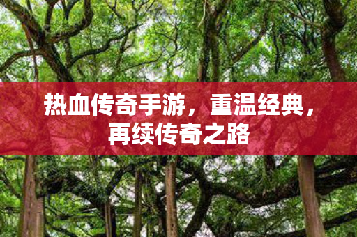 热血传奇手游图片