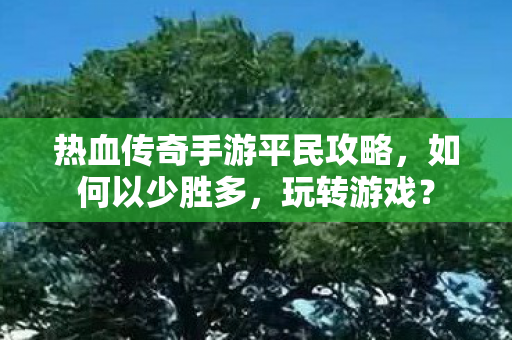 热血传奇手游平民攻略图片