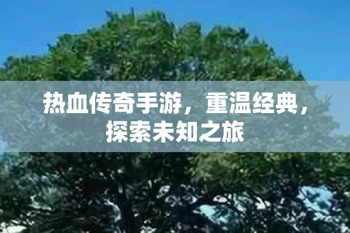 热血传奇手游图片