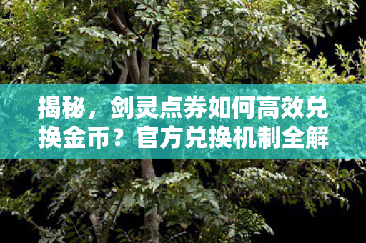 剑灵点券如何高效兑换金币图片