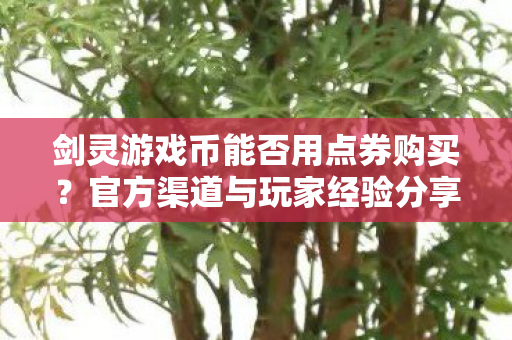剑灵游戏币能否用点券购买图片