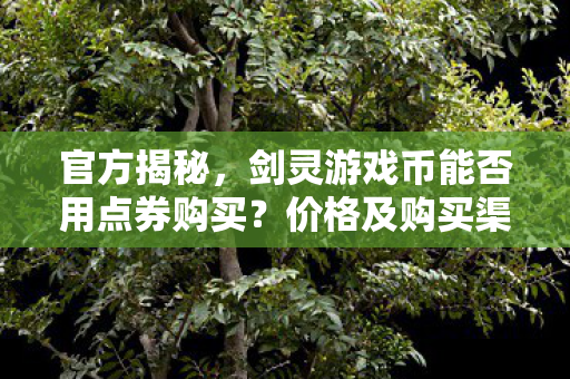 剑灵游戏币能否用点券购买图片