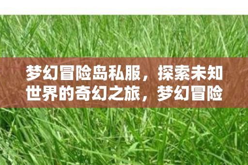 梦幻冒险岛私服,探索未知世界的奇幻之旅,梦幻冒险岛私服,开启探索未知世界的奇幻之旅 梦幻冒险岛私服,探索未知世界的奇幻之旅,梦幻冒险岛私服,开启探索未知世界的奇幻之旅