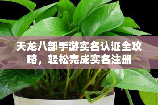 天龙八部手游实名认证全攻略图片