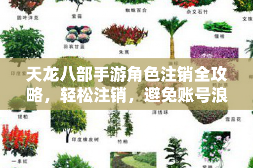 天龙八部手游角色注销全攻略图片