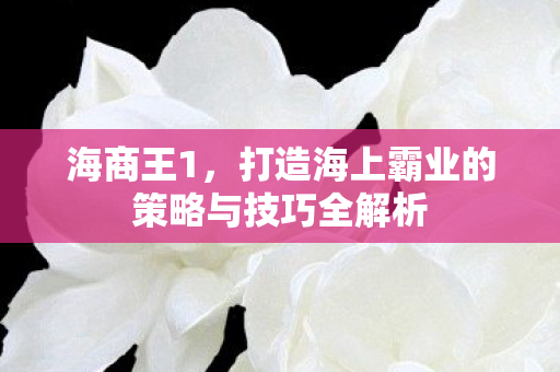 打造海上霸业的策略与技巧全解析图片