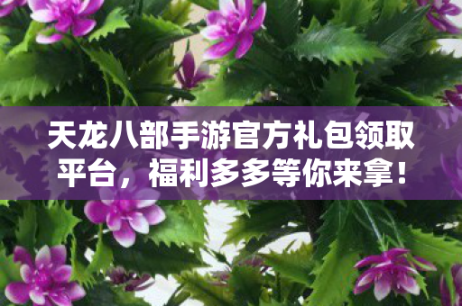 天龙八部手游官方礼包领取平台图片