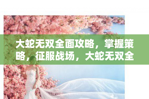 大蛇无双全面攻略图片