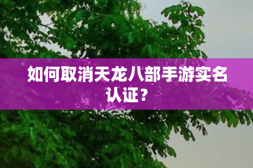 如何取消天龙八部手游实名认证图片