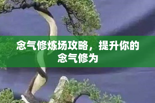 提升你的念气修为图片