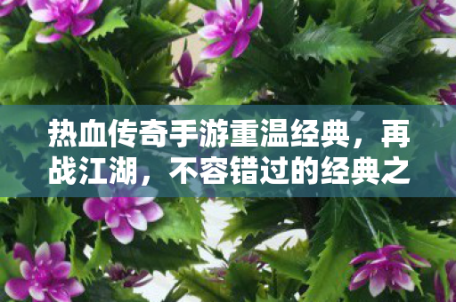 热血传奇手游重温经典图片