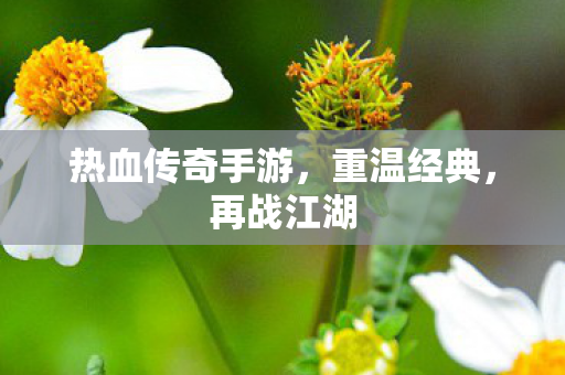 热血传奇手游图片