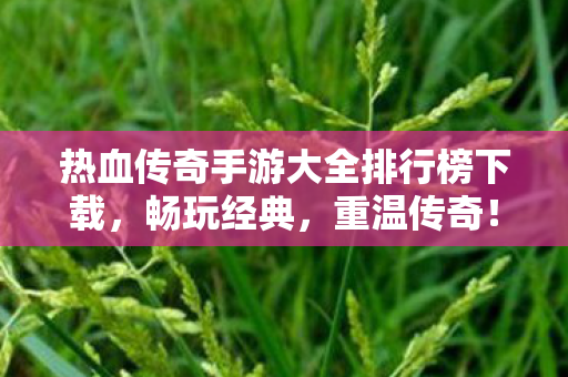 热血传奇手游大全排行榜下载图片