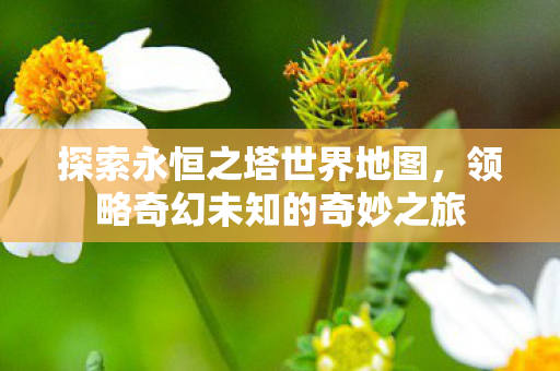 探索永恒之塔世界地图,领略奇幻未知的奇妙之旅 探索永恒之塔世界地图,领略奇幻未知的奇妙之旅