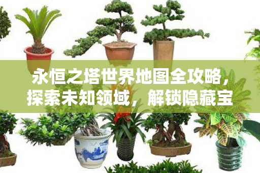 永恒之塔世界地图全攻略,探索未知领域,解锁隐藏宝藏! 永恒之塔世界地图全攻略,探索未知领域,解锁隐藏宝藏!