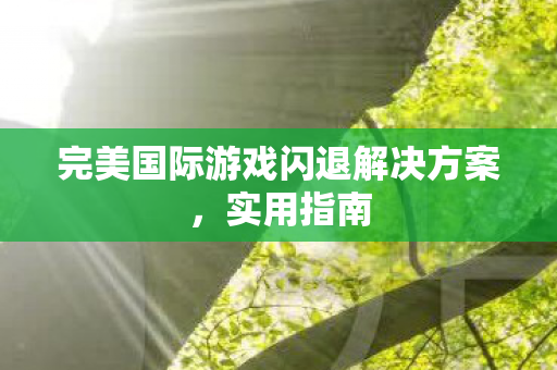 完美国际游戏闪退解决方案图片